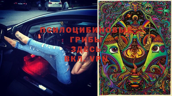прущий лед Армянск