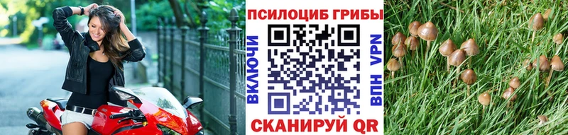 Галлюциногенные грибы мухоморы  Бахчисарай 